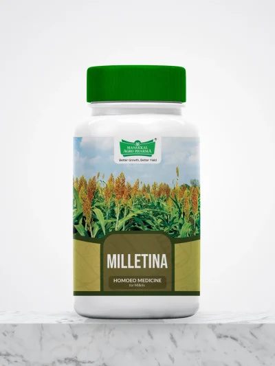 Millettina