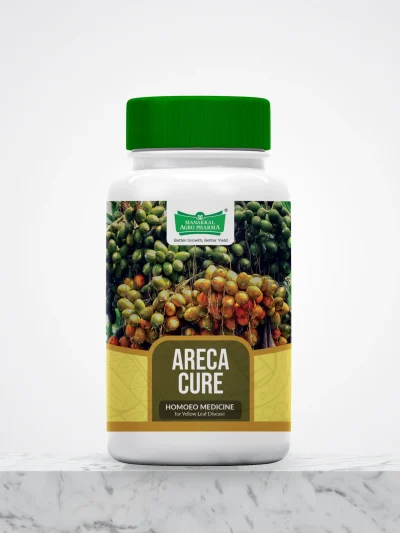 Areca Cure