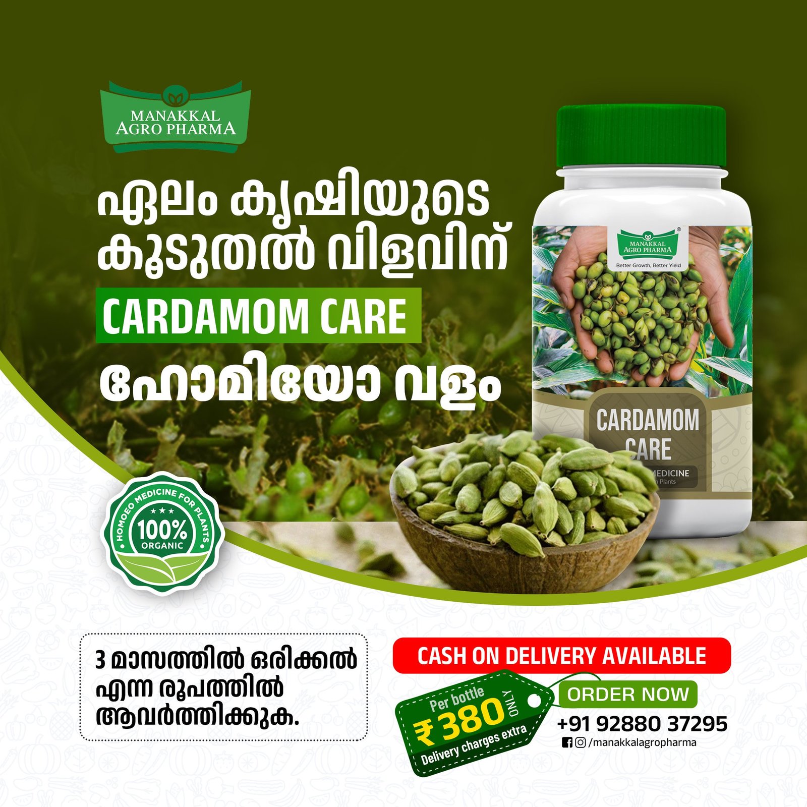 485972312_1066685118810381_3645843597532409878_n