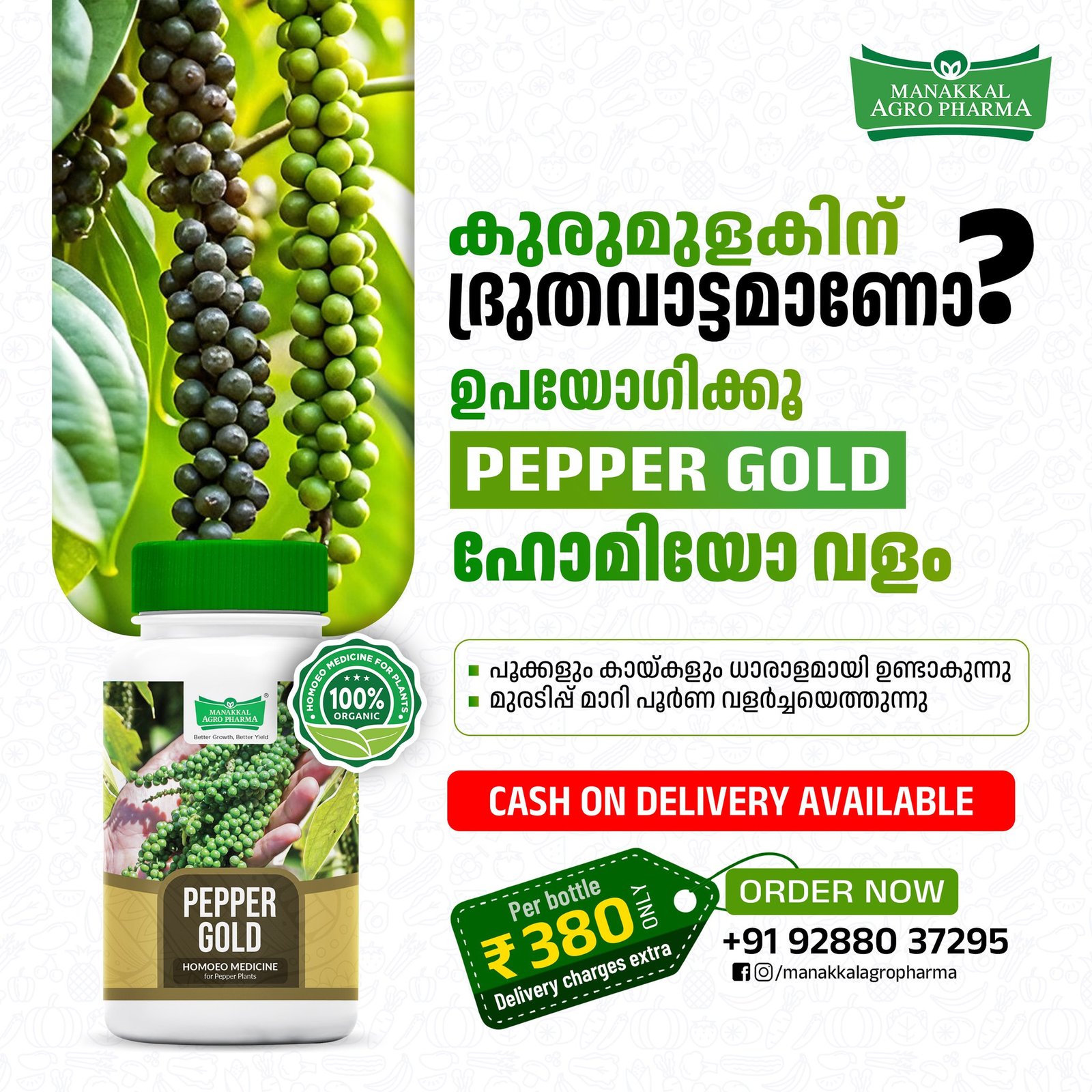 490385031_1081767157302177_8449685512540165247_n